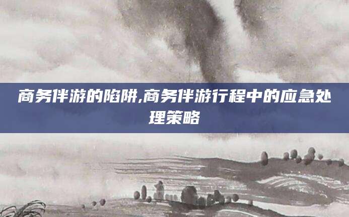 醴陵商务伴游的陷阱,商务伴游行程中的应急处理策略